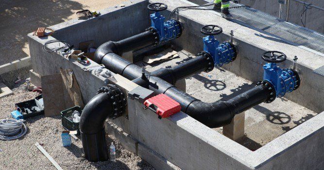 Colector Pe Gran Tamano 1 1