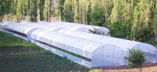 Los polímeros, imprescindibles en el mundo agrícola 6 Pe-Riego