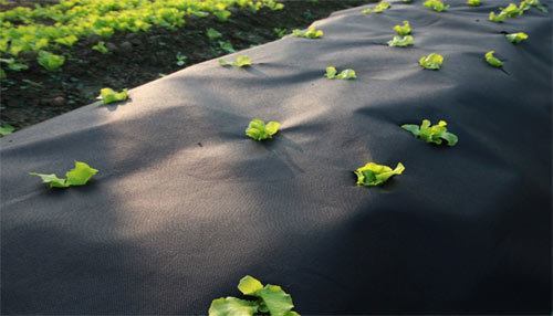 Los polímeros, imprescindibles en el mundo agrícola 8 Polipropileno-Agri