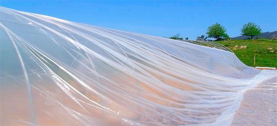 Qué termoplástico elegir para la construcción de un invernadero 6 Plastico-Cubierta