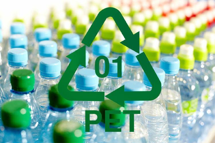 ¿qué significan y por qué están por todas partes las siglas pet? 4 Portada