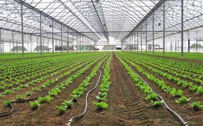 Los termoplasticos en el mundo agricola Los Termoplasticos En El Mundo Agricola