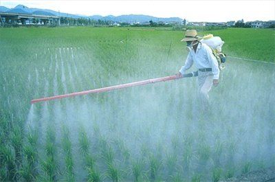 Los termoplasticos en el mundo agricola Los Termoplasticos En El Mundo Agricola