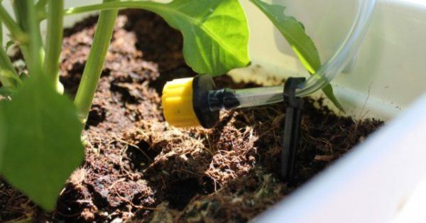 Riego gota a gota Riego Gota A Gota