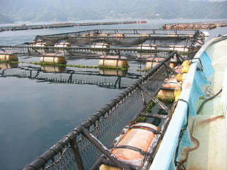 Foto-agua Foto Agua 1