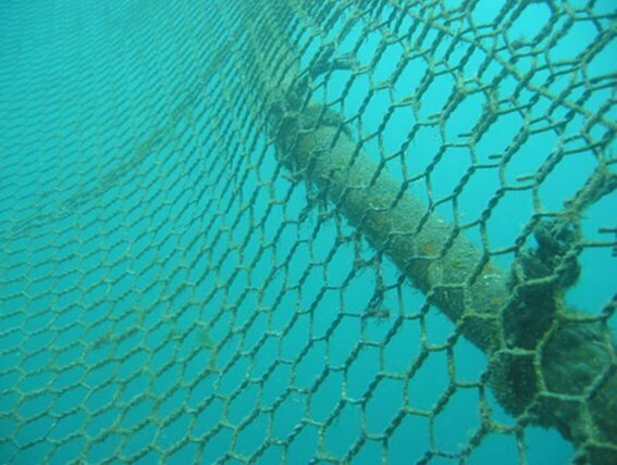 Redes-debajo-del-mar Redes Debajo Del Mar 1