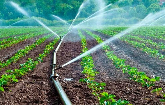 Conductor-en-lamina-libre Conductor En Lamina Libre 1