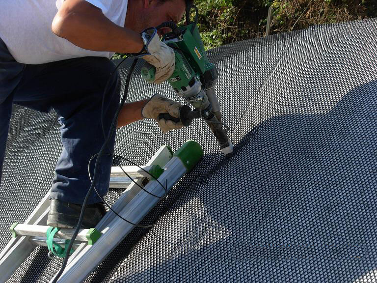 Exon 1 8 Exon 1 - Imagen 5