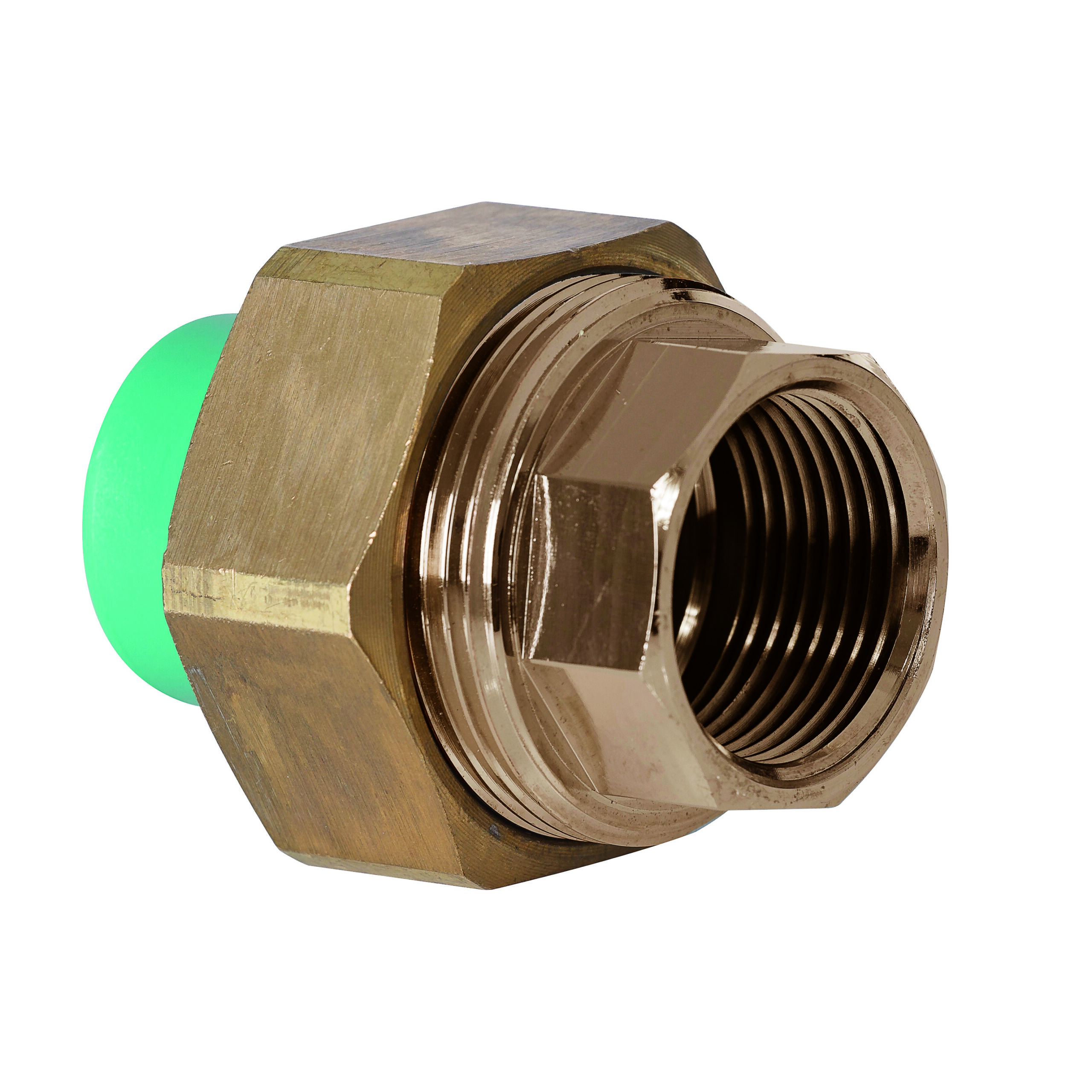 Conector Rosca Hembra Scaled