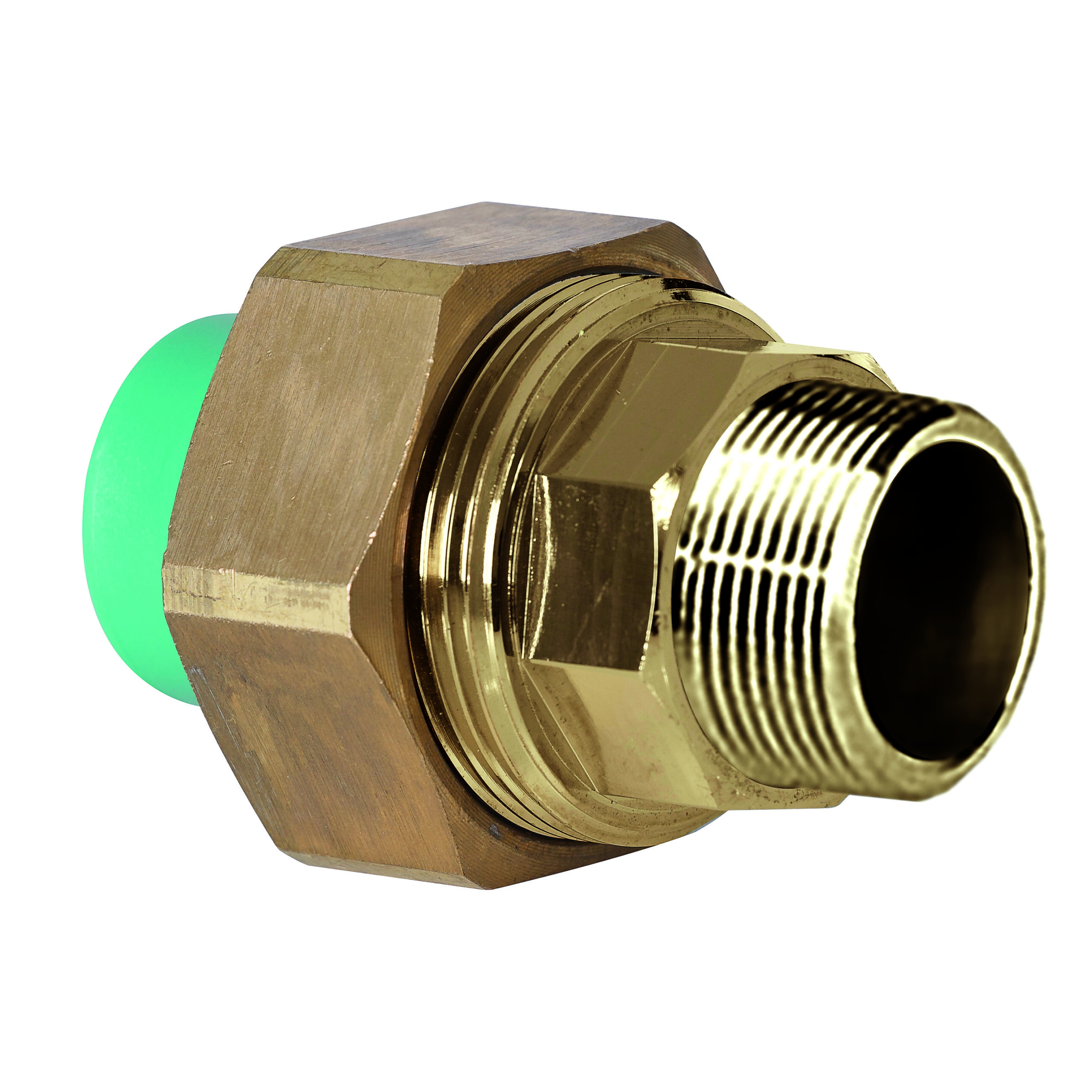 Conector Rosca Macho Scaled