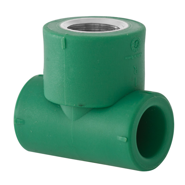 Te Rosca Hembra Inox